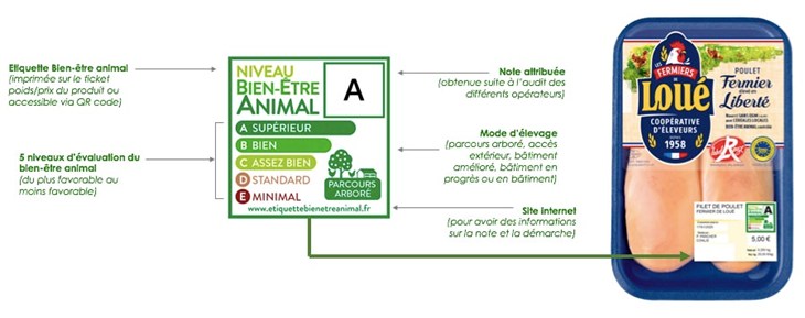 Explication de l'étiquette bien-être animal accompagnée d'une barquette de poulet Loué