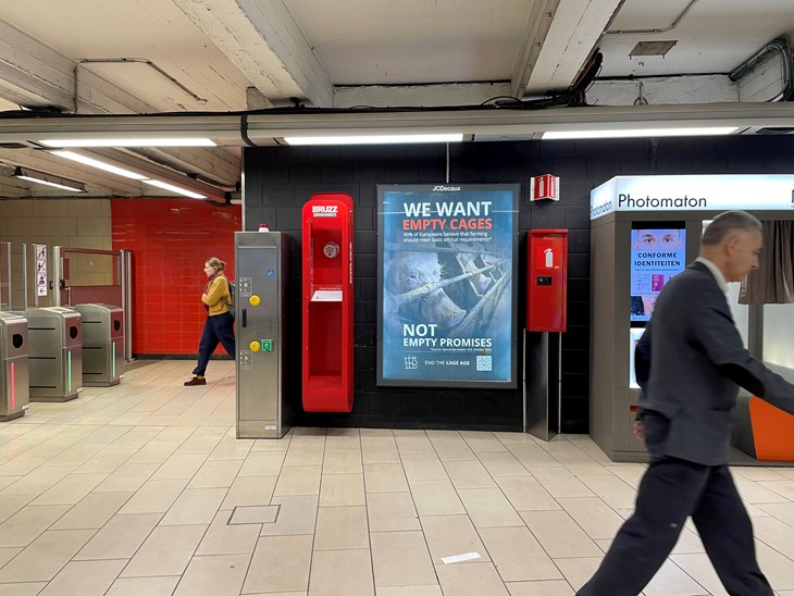 Affiches dans le metro Fin des cages