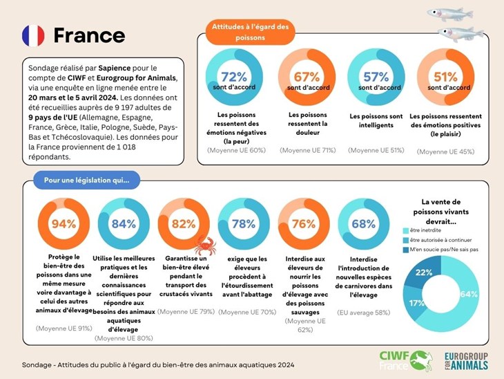 Illustration sondage poissons