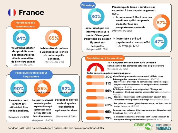 Illustration sondage Poissons