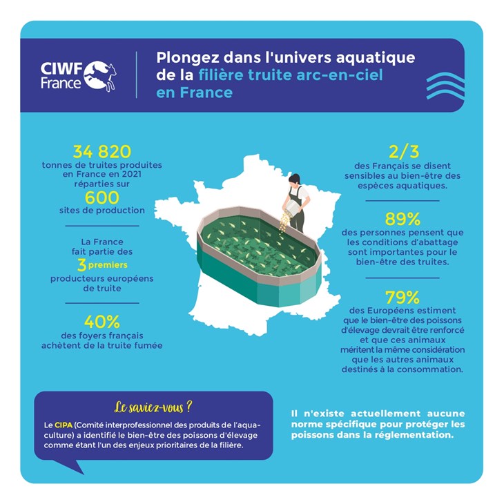 infographie sur la filière française truite arc-en-ciel