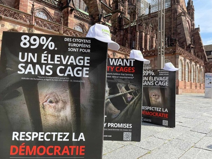 Opération d'affichage pour la fin des cages devant la cathédrale de Strasbourg, juillet 2024