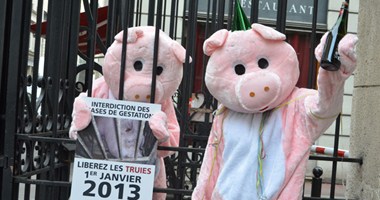 action-truie-2janvier2013
